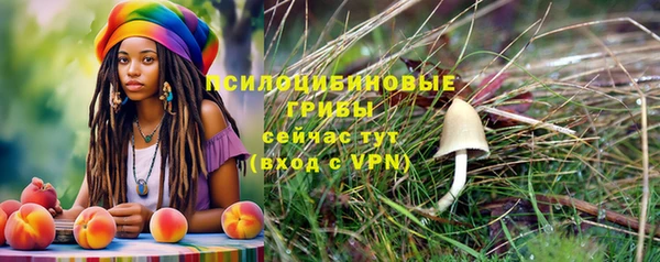 ECSTASY Переславль-Залесский