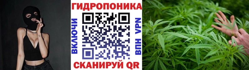 МАРИХУАНА THC 21% Дрезна